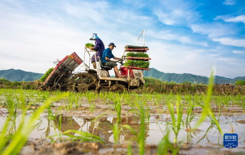 當(dāng)前中國經(jīng)濟(jì)十問 從宏觀大勢到農(nóng)業(yè)技術(shù)創(chuàng)新的機(jī)遇與挑戰(zhàn)